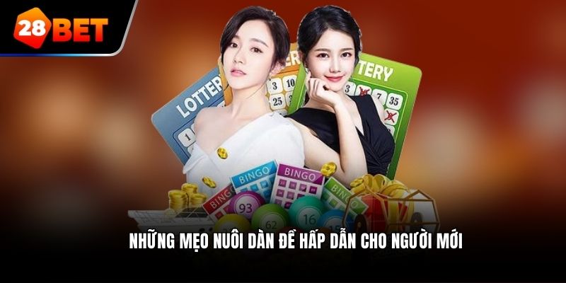 Những mẹo nuôi dàn đề hấp dẫn cho người mới